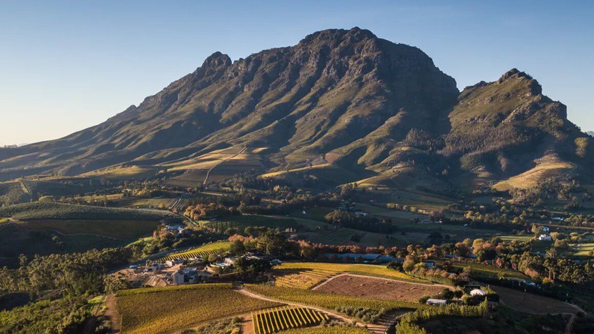 Franschhoek valley vine patchwork below dramatic mountains in golden light